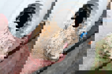 water heater cleaning